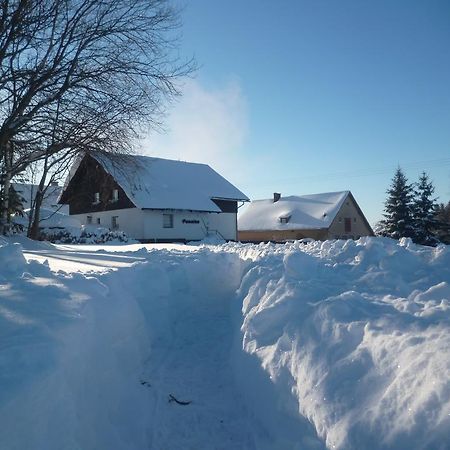 Pension Pugner Vysoke nad Jizerou Exterior photo