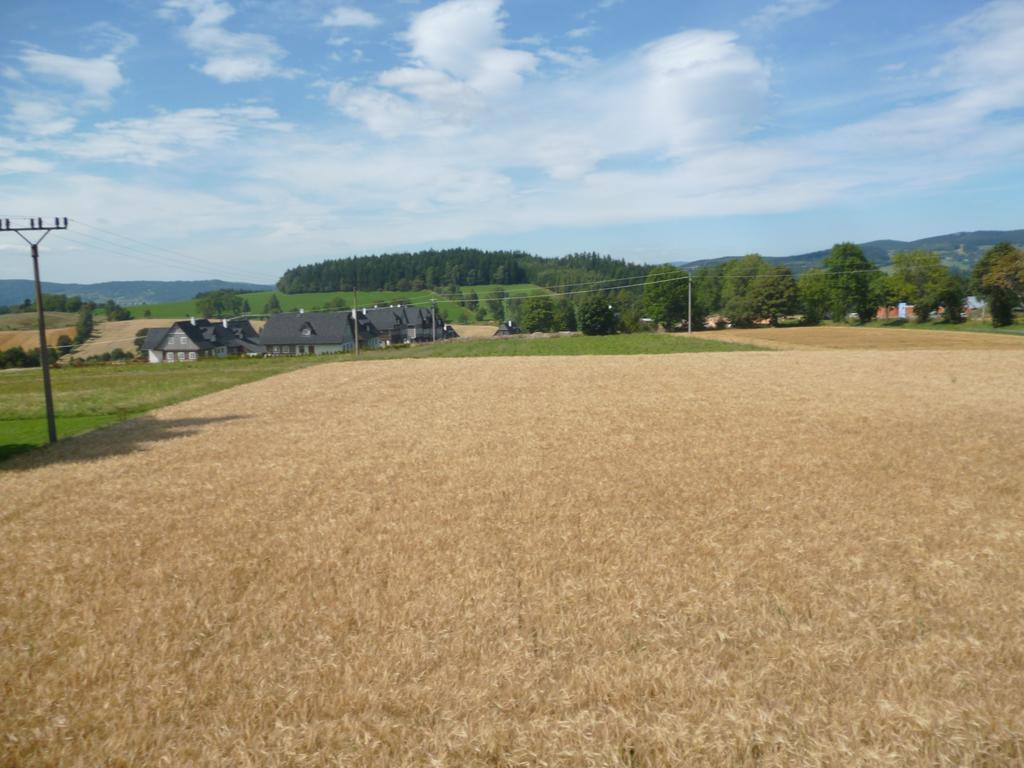 Pension Pugner Vysoke nad Jizerou Exterior photo