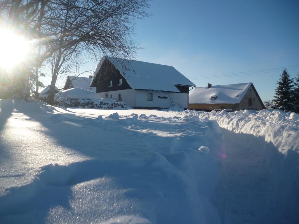 Pension Pugner Vysoke nad Jizerou Exterior photo