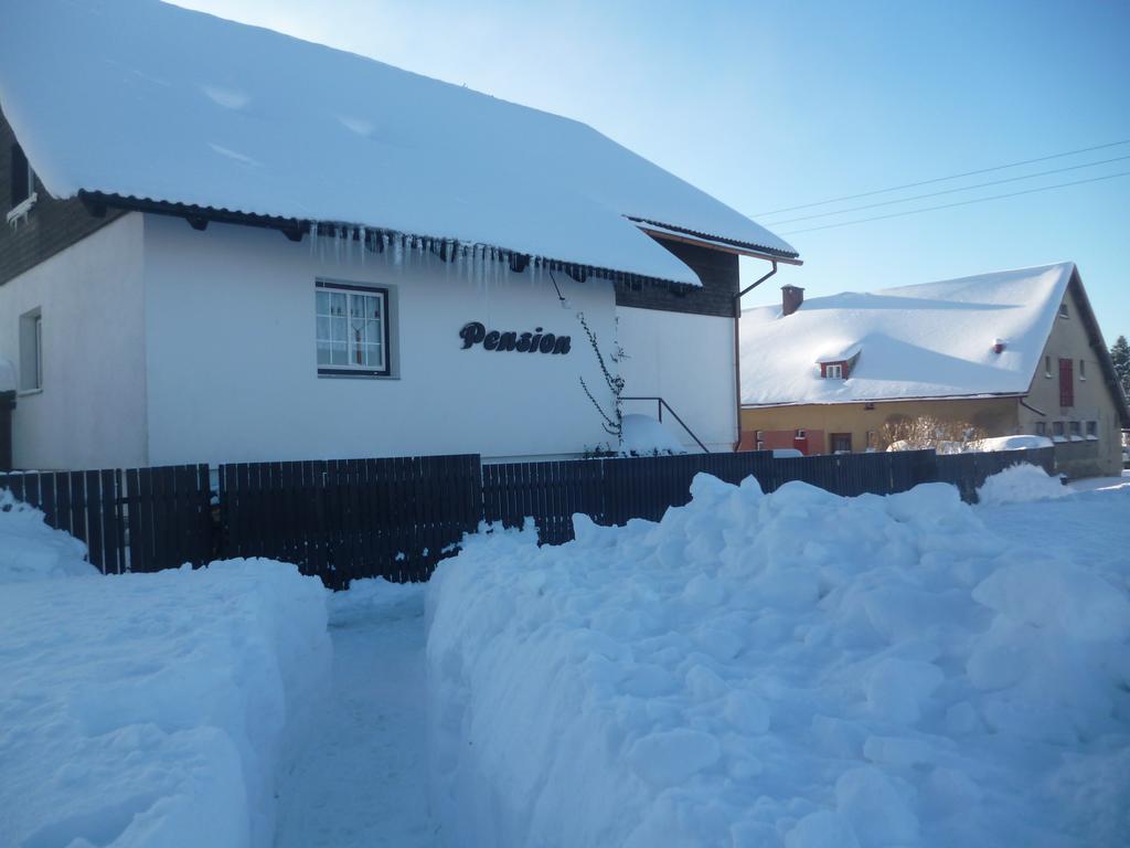 Pension Pugner Vysoke nad Jizerou Exterior photo