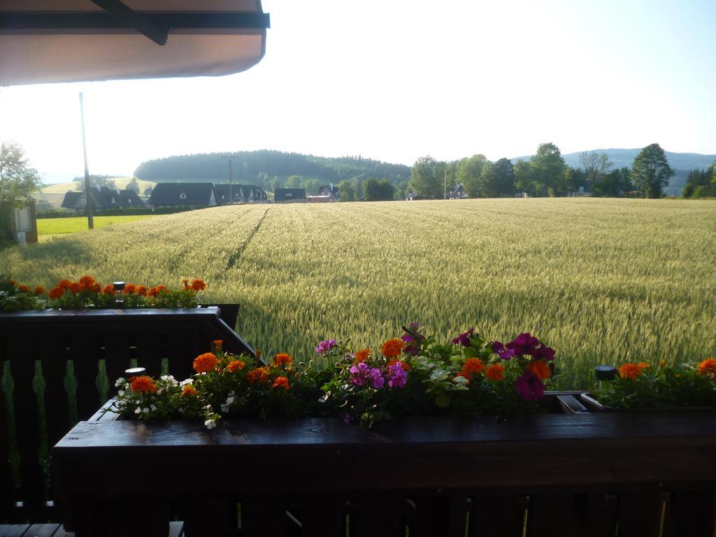 Pension Pugner Vysoke nad Jizerou Exterior photo