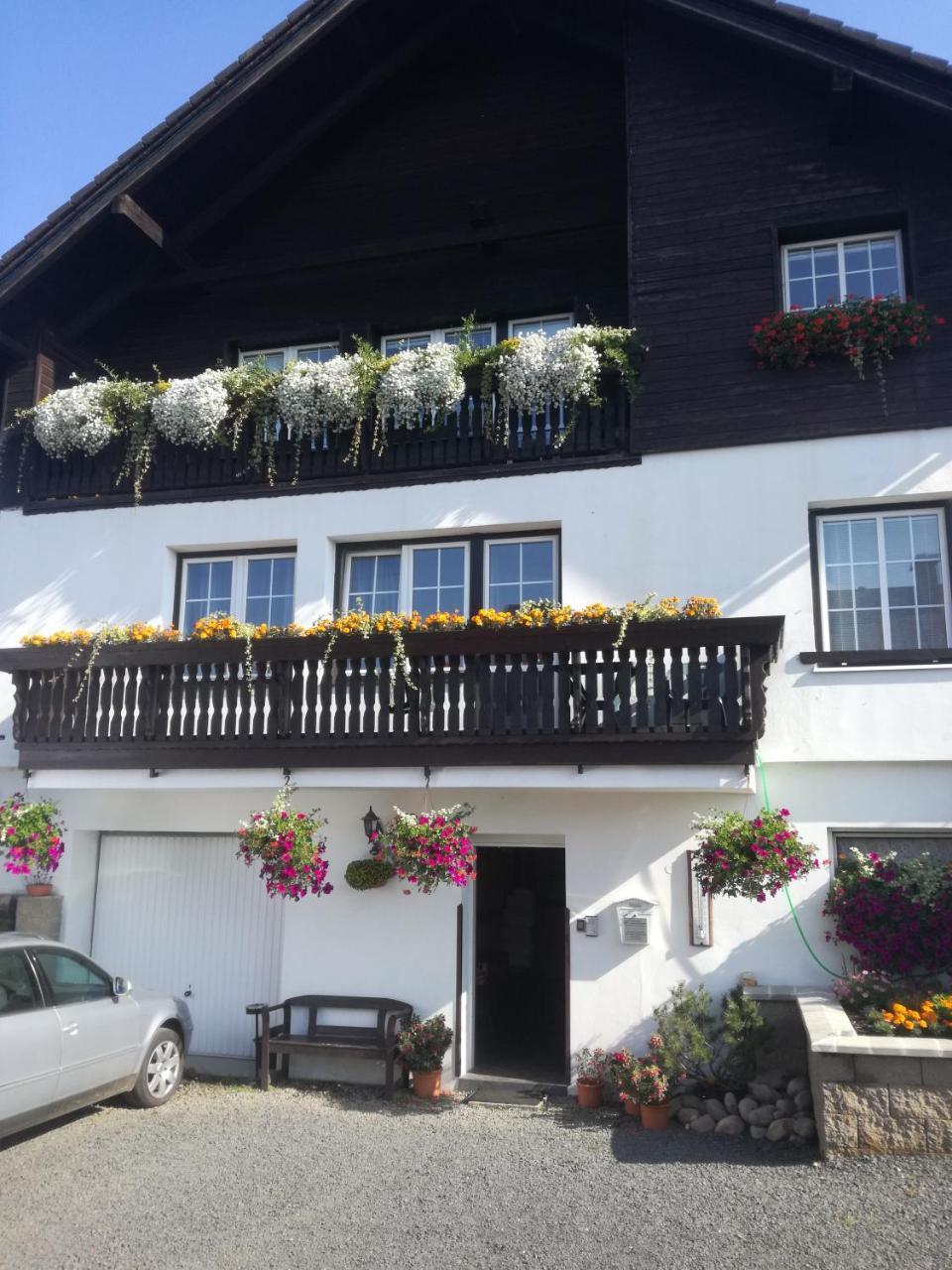 Pension Pugner Vysoke nad Jizerou Exterior photo